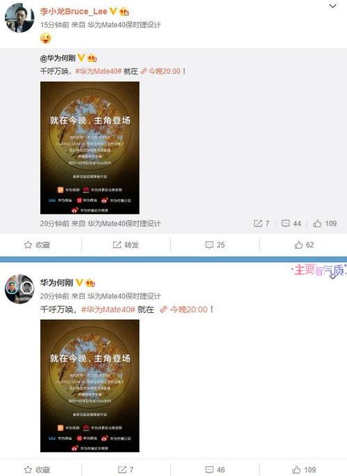 爆料大全视频播放,热门视频内容深度解析